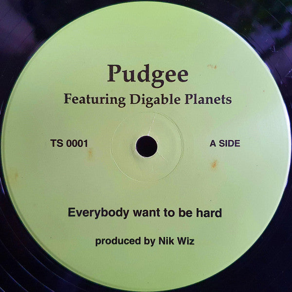 Pudgee- Everybody Want To Be Hard/Inner City Blues, Second Hand 12 Inch Single