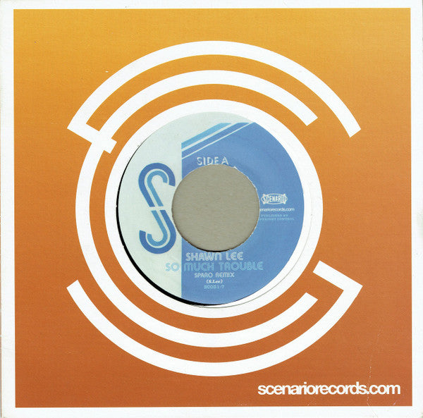 Shawn Lee- So Much Trouble, Second Hand 7 Inch Single